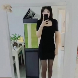 长安鱼儿