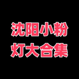 沈阳小粉灯大合集