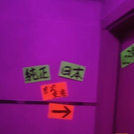 内地玩不到的快乐 香港油尖旺区